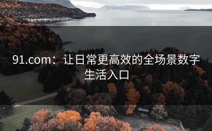 91.com：让日常更高效的全场景数字生活入口