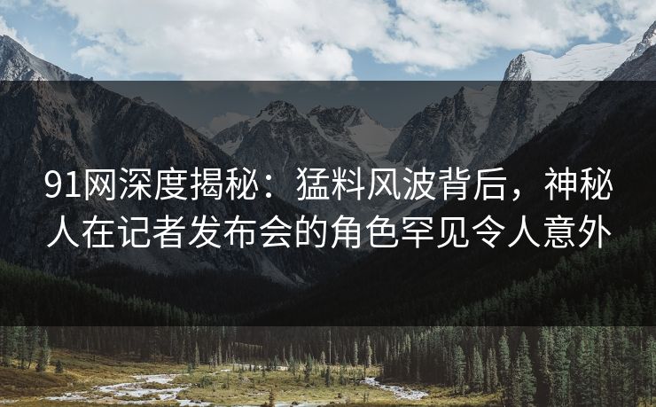 91网深度揭秘：猛料风波背后，神秘人在记者发布会的角色罕见令人意外