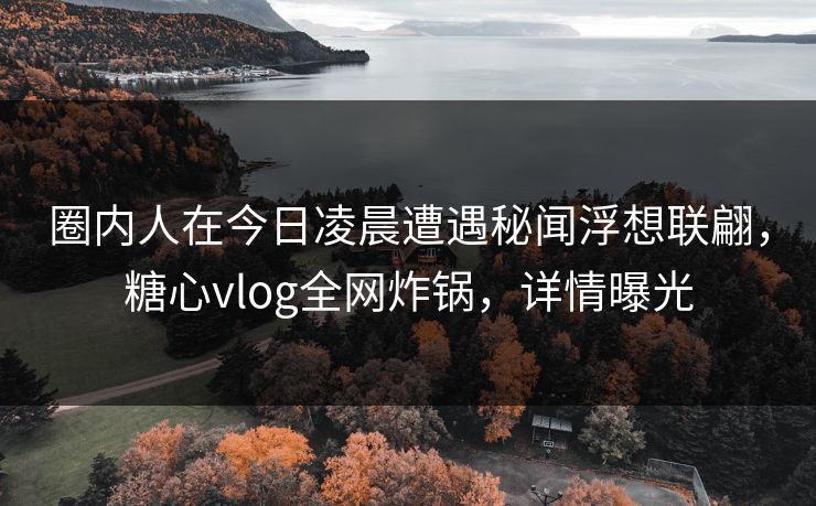 圈内人在今日凌晨遭遇秘闻浮想联翩，糖心vlog全网炸锅，详情曝光